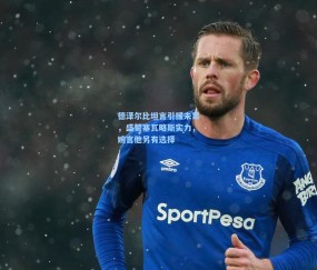 德泽尔比坦言引援未果，盛赞塞瓦略斯实力，婉言他另有选择