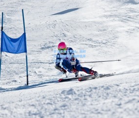 罗马诺独家揭秘，新时代足球转会市场的变革与挑战