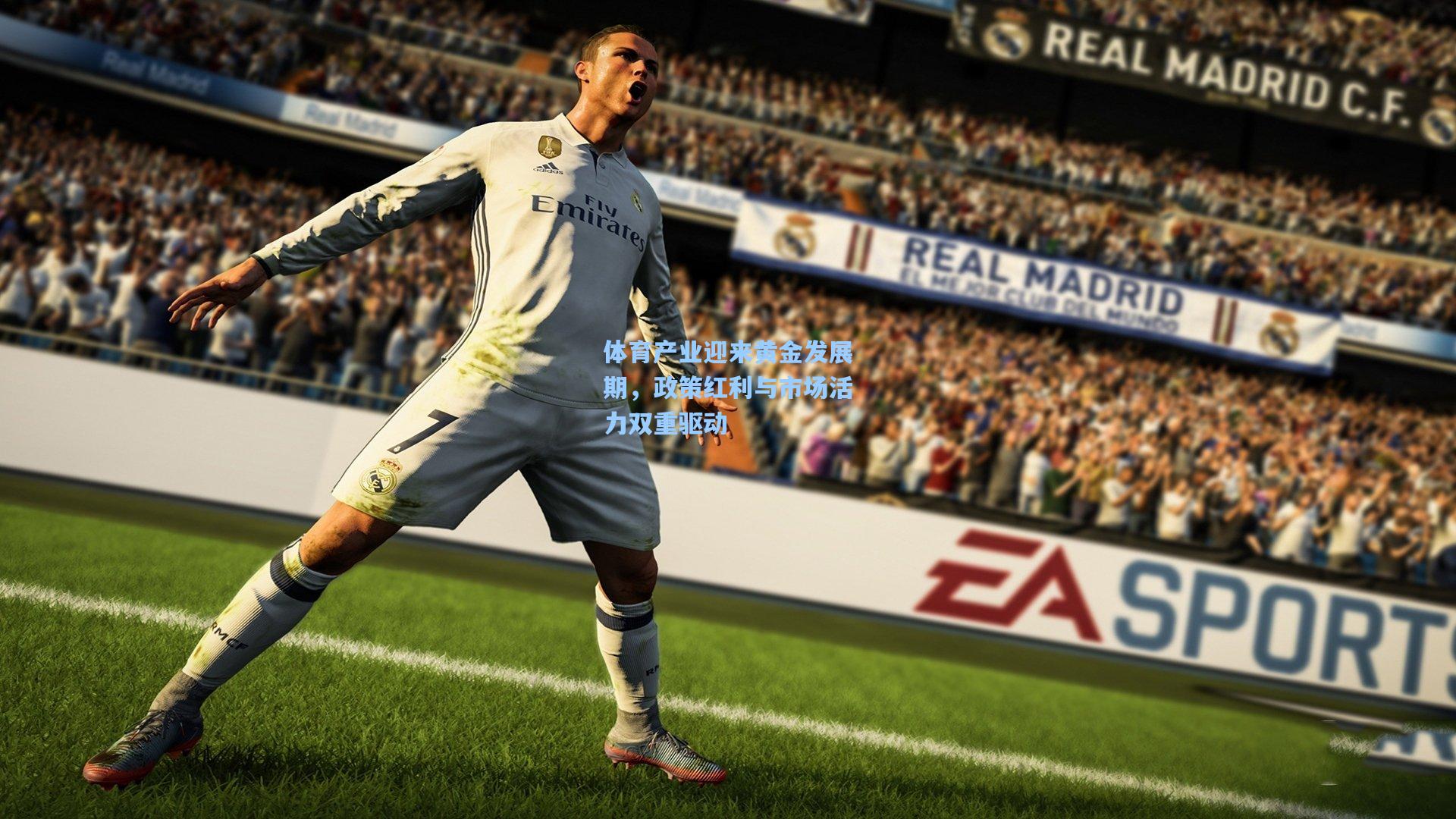 体育产业迎来黄金发展期，政策红利与市场活力双重驱动