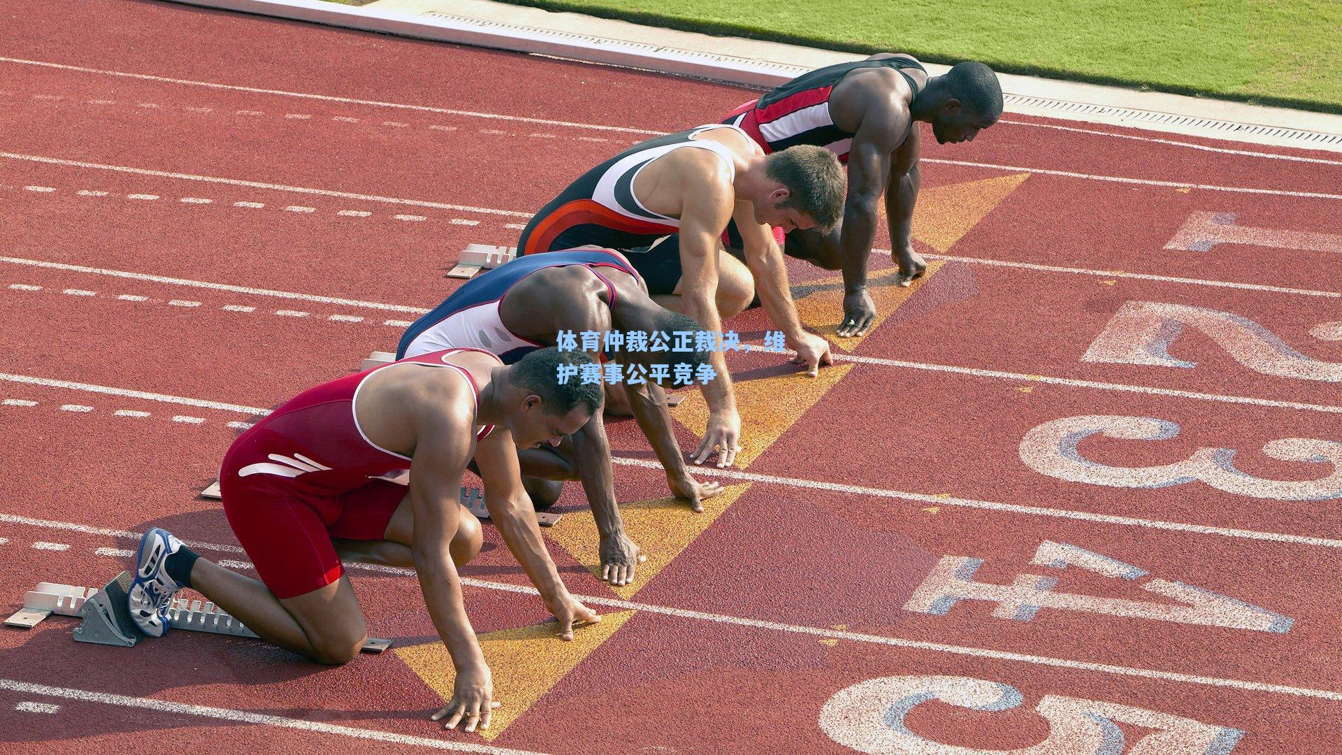 体育仲裁公正裁决，维护赛事公平竞争
